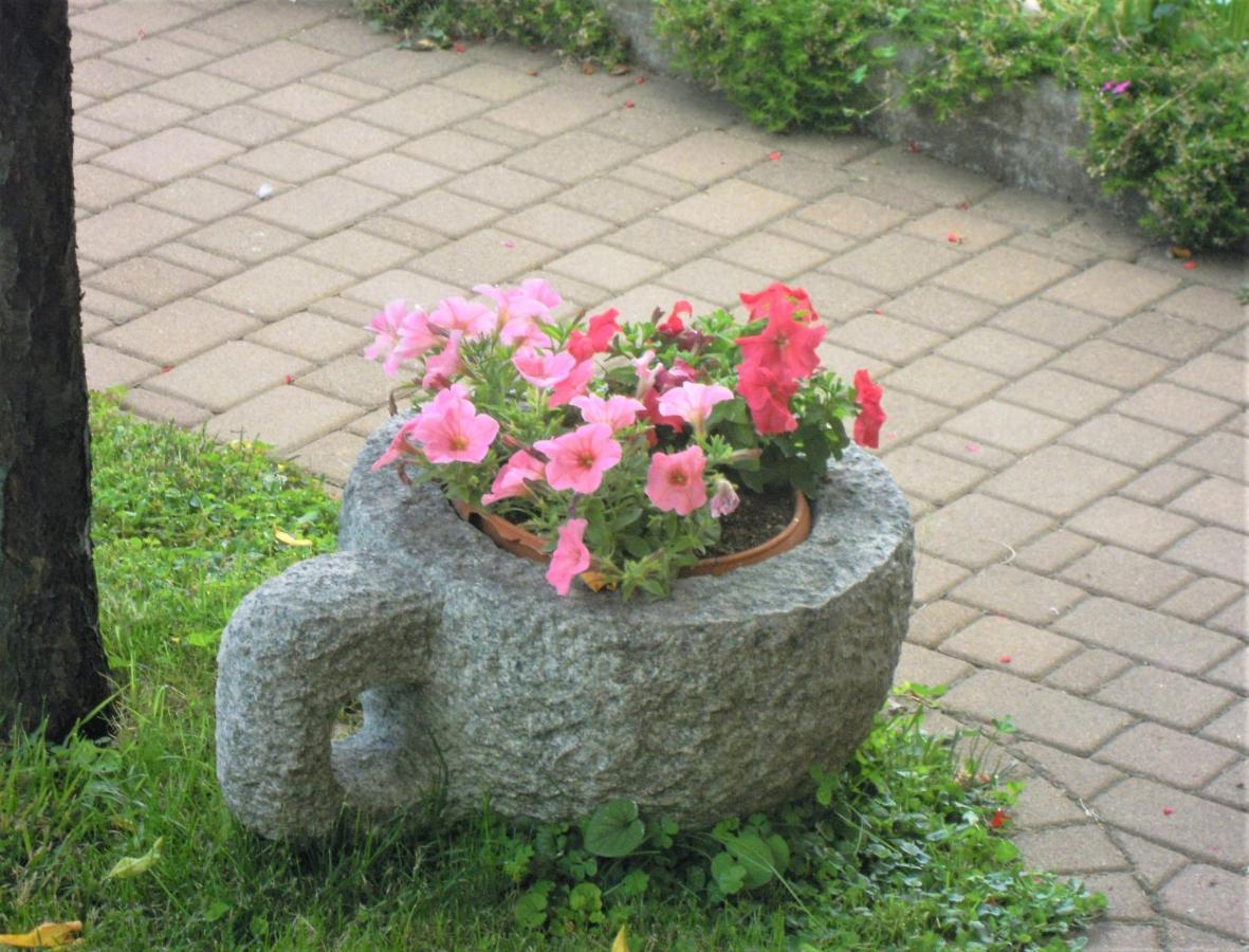 Apartmán Giorni Felici Tutto Nuovo, Giardino, Parcheggio Verbania Exteriér fotografie